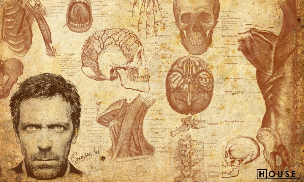 8 curiosidades de Hugh Laurie