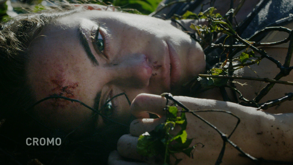 Odeon, la primera plataforma argentina de video on demand