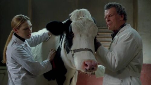 10 frases de Walter Bishop para no olvidar jamás