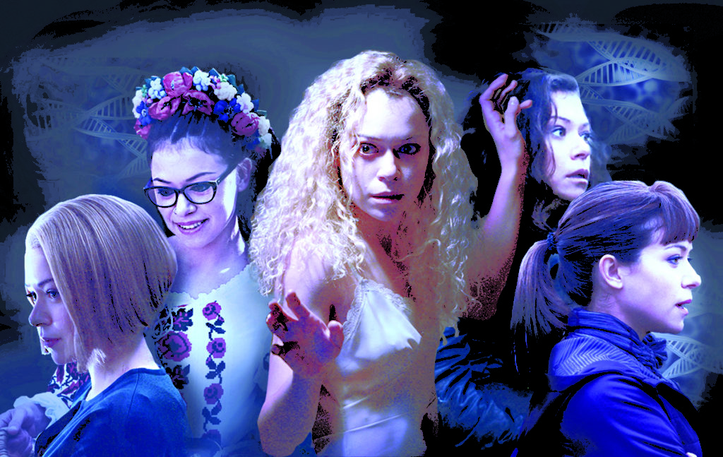 Los 19 clones: la guía definitiva