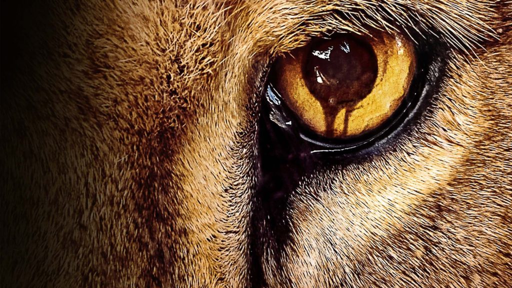 Te damos grandes razones para no perderte esta serie