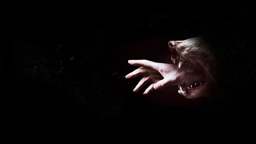 Las series renovadas y canceladas por Netflix