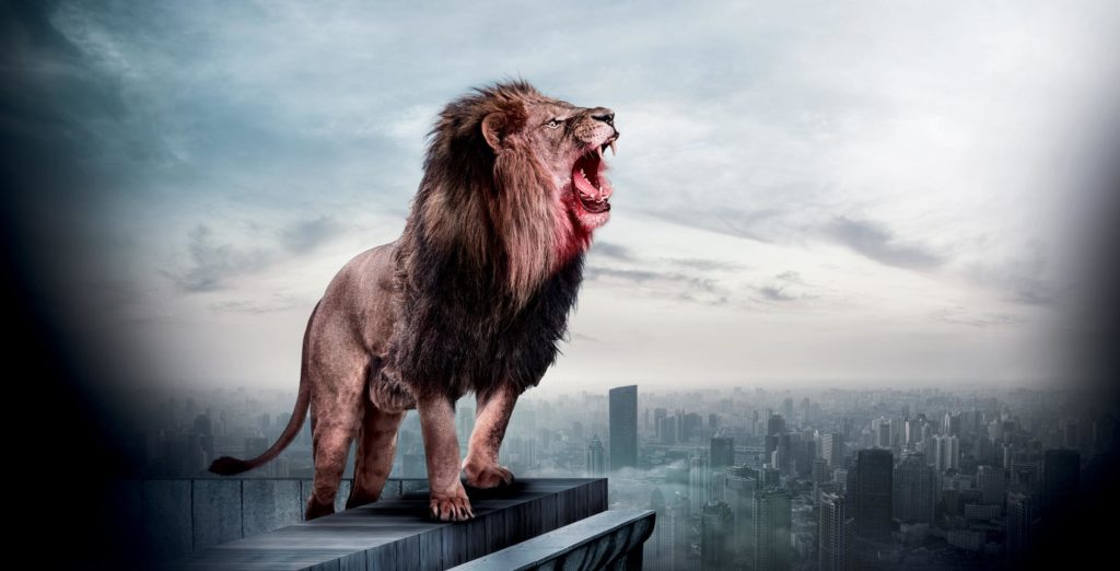 Serie para este fin de semana: Zoo y su humor escandalosamente involuntario