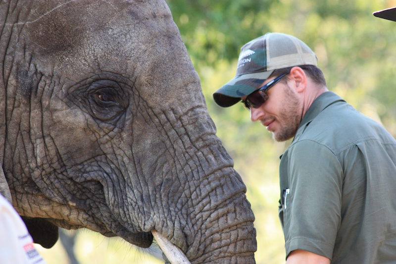 Animal Planet y el actor Tom Hardy se unen contra la caza ilegal