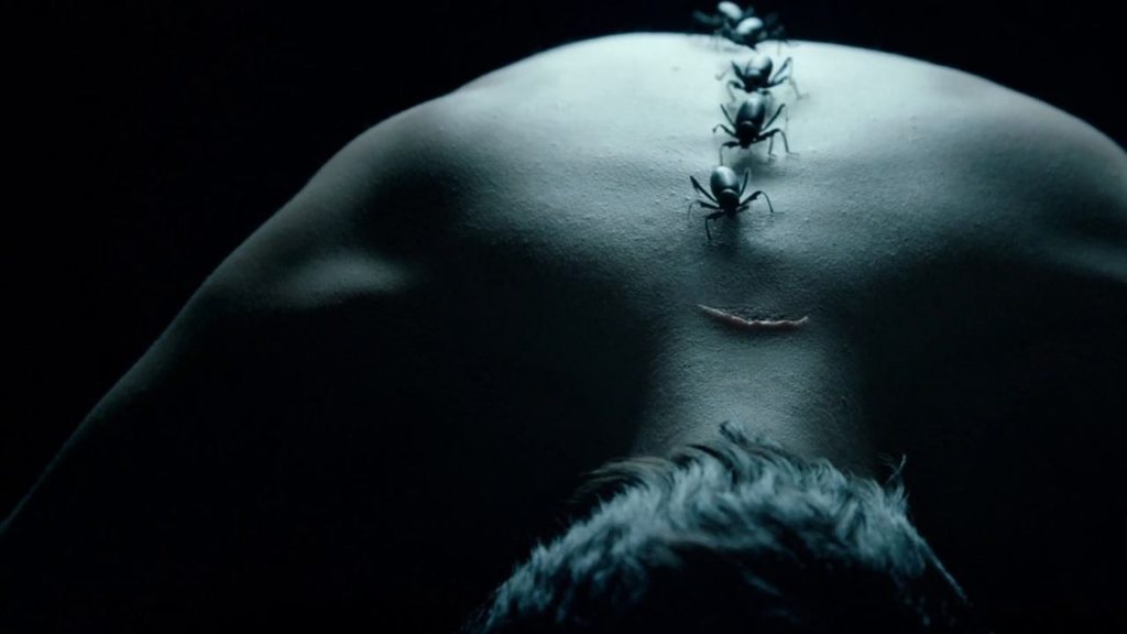 Aracnofóbicos abstenerse: esta es la promo de la semana