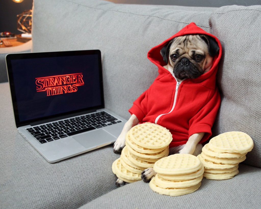 Esperamos que Doug sea la nueva incorporación para la 2da temporada