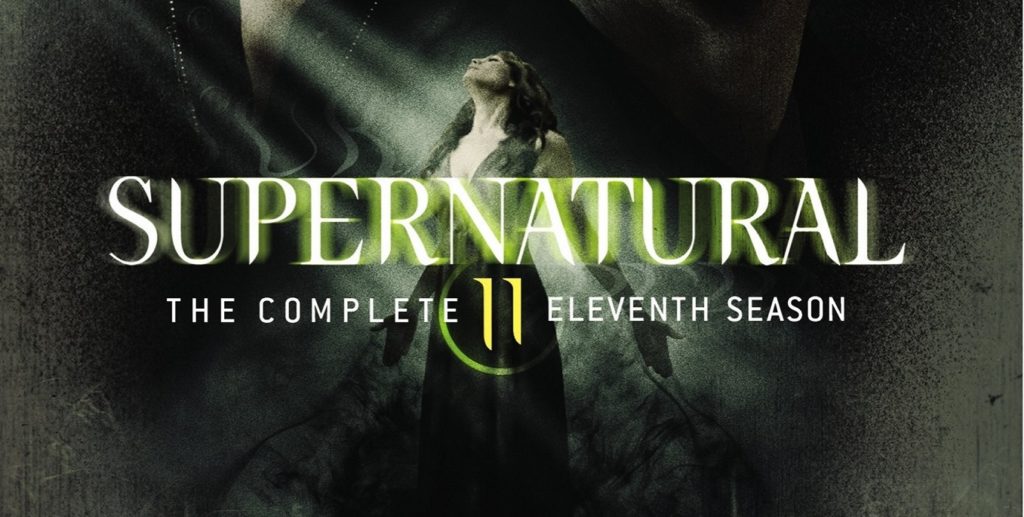 La temporada 11 en DVD y Blu-Ray