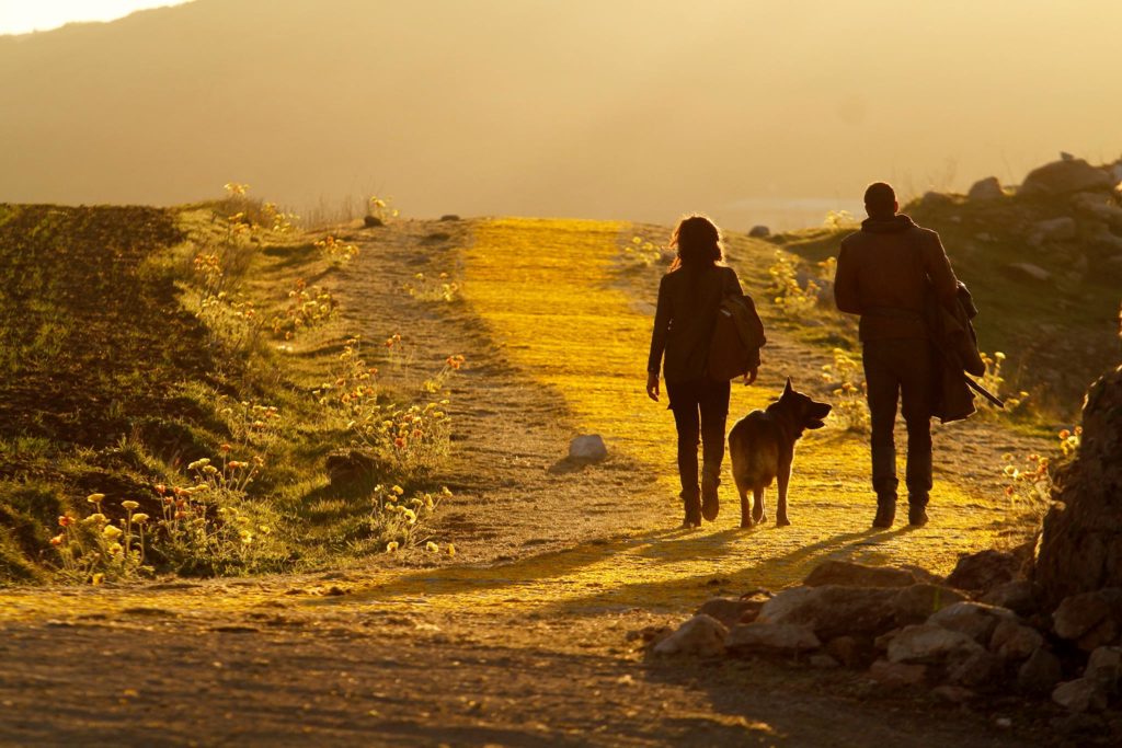 NBC nos transporta a Oz con el lanzamiento del trailer y el poster de Emerald City