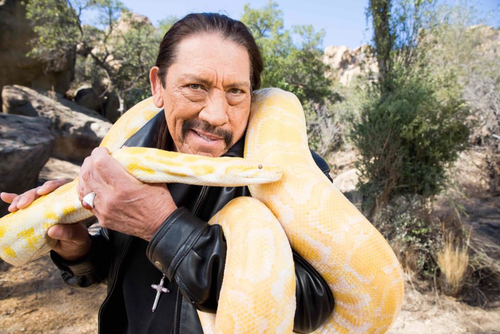 Dos geniales opciones para este mes en Discovery