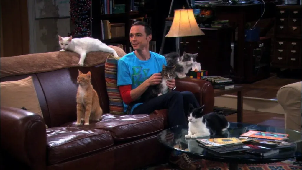 El lugar de Sheldon está en todos lados