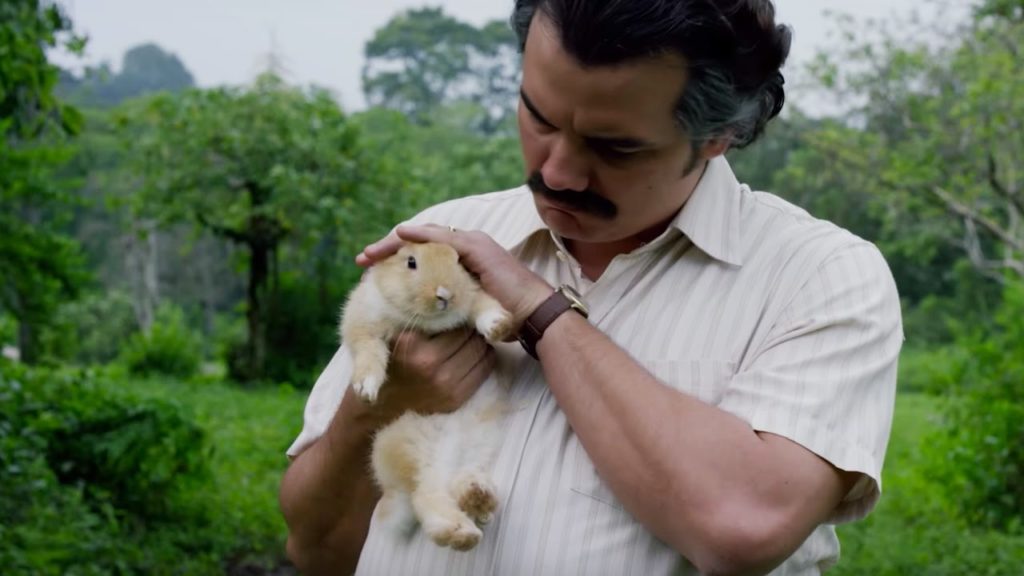 Oh, blanca Navidad...