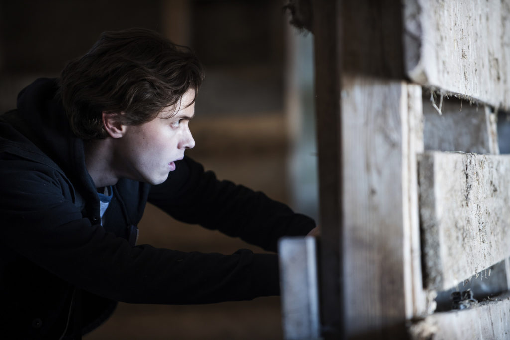 5 razones para ver este remake de USA Network