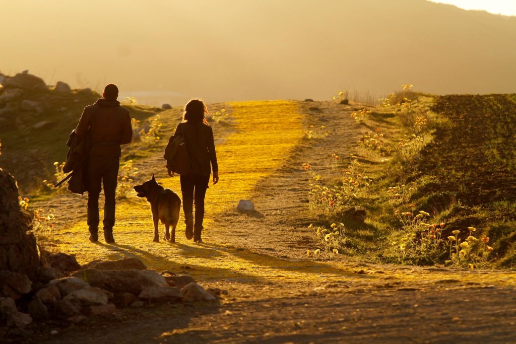 Sinopsis y fotos de los primeros cuatro capítulos de Emerald City