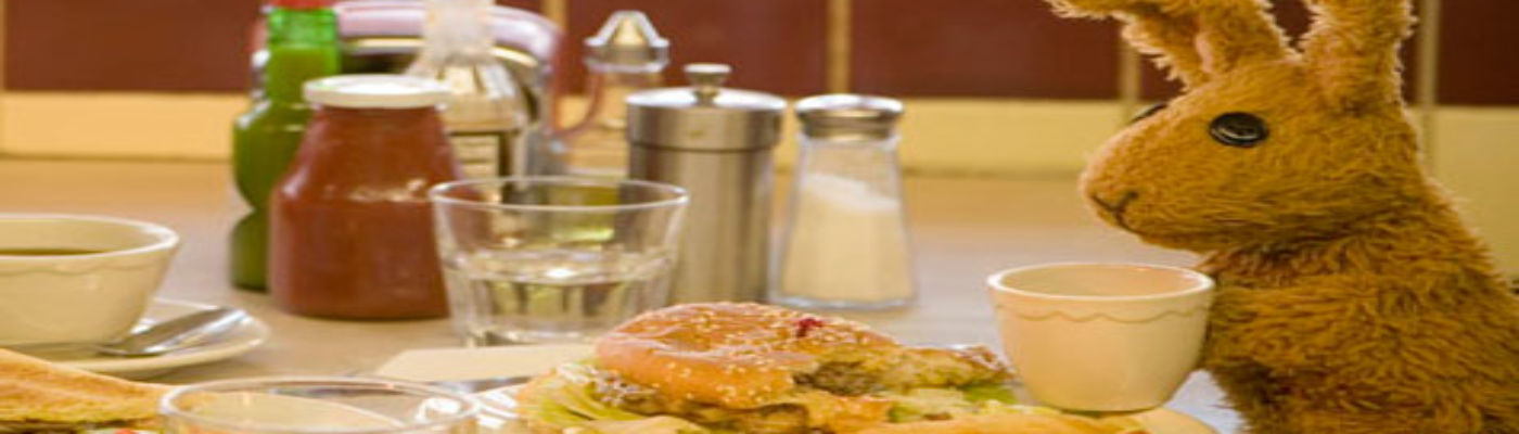 Series Olvidadas: Greg the Bunny