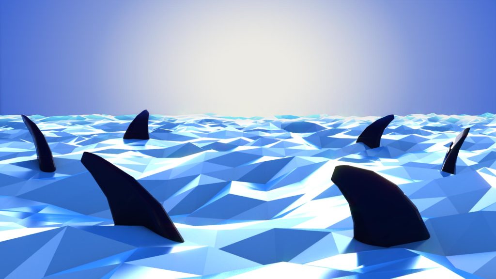 ¡Los tiburones regresan al tanque!