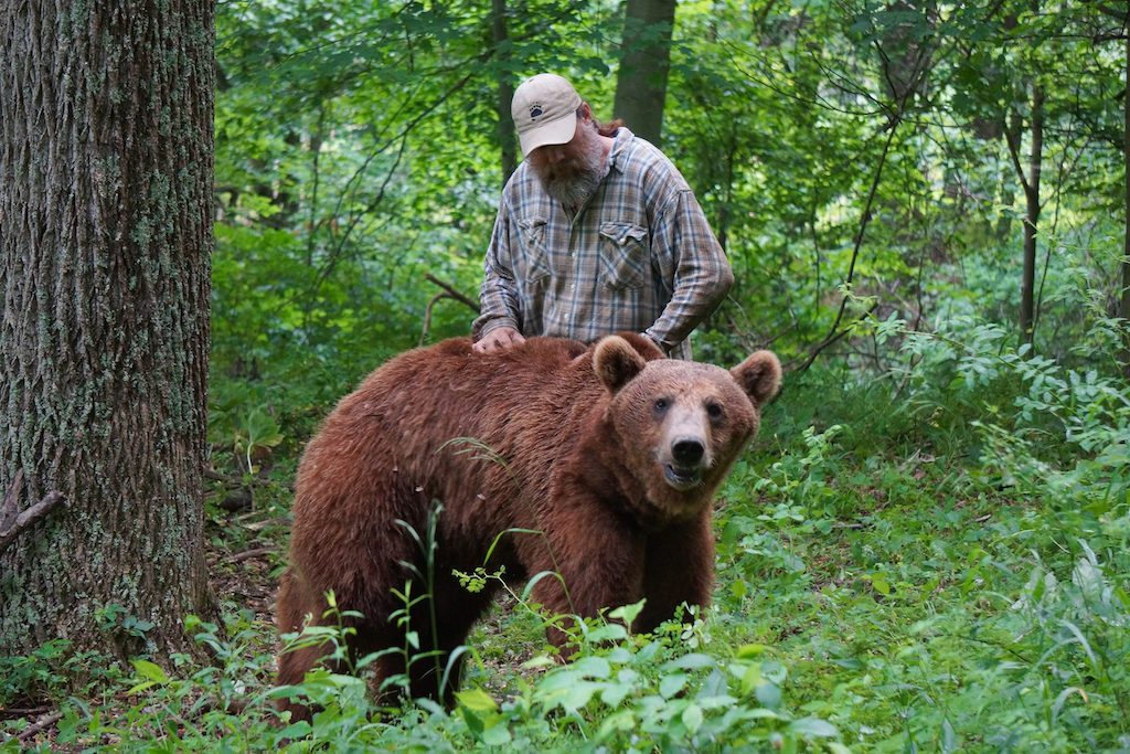 Proyecto Grizzly, la nueva serie de Animal Planet