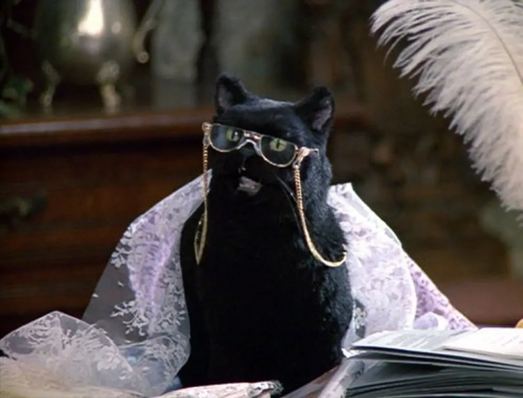 16 motivos por los cuales siempre querremos a Salem