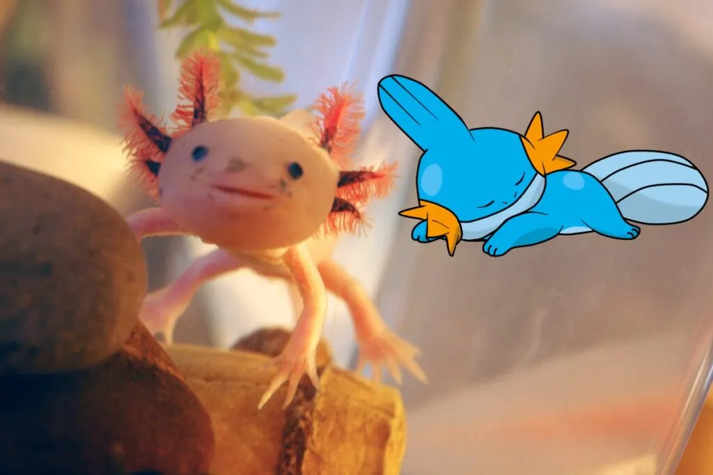 9 Pokémons inspirados en animales reales