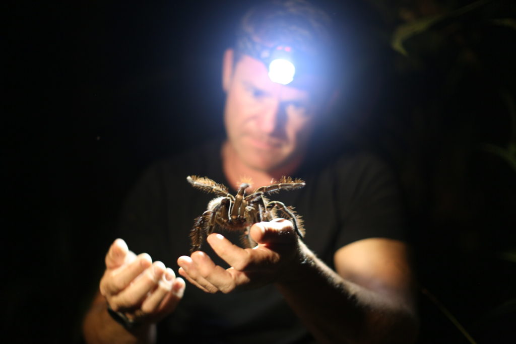 Animal Planet presenta: Feroces y Salvajes