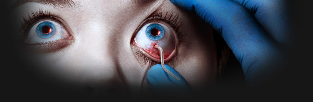 Se anuncia la fecha oficial de estreno de la season finale