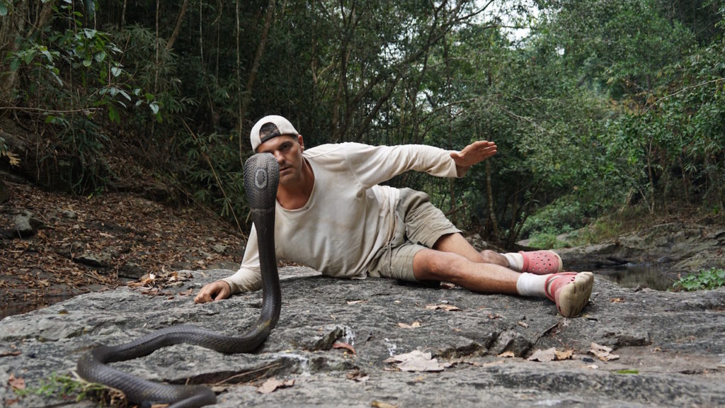 Las novedades de Animal Planet para Junio