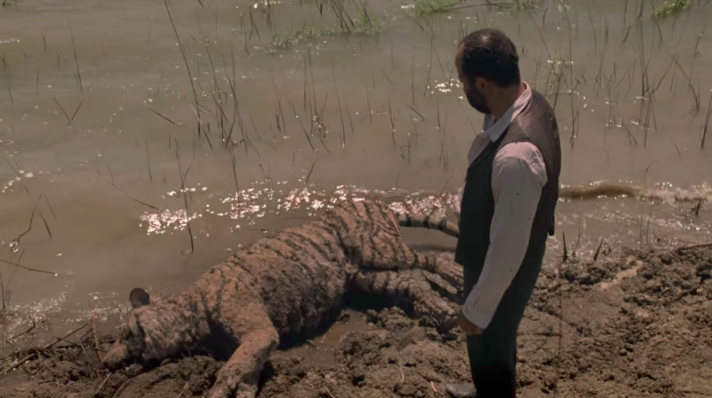 Novedades que llegaron directo desde la Comic-Con de San Diego