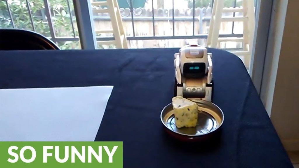 El robot que pasa la mantequilla