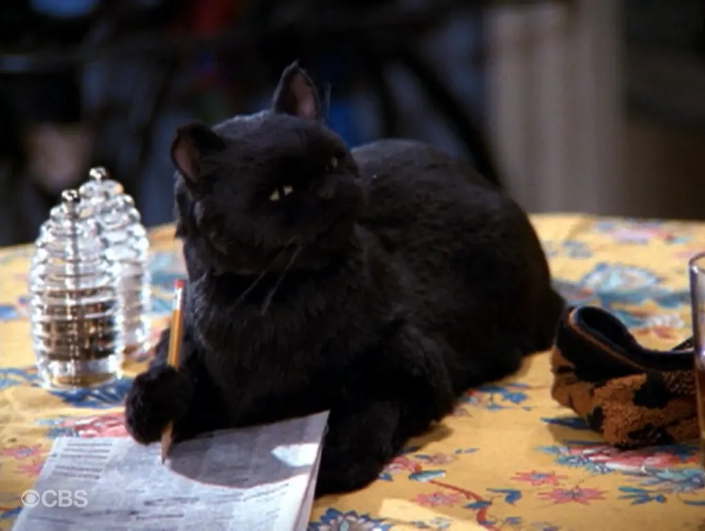 12 frases de Salem que parecen nuestras