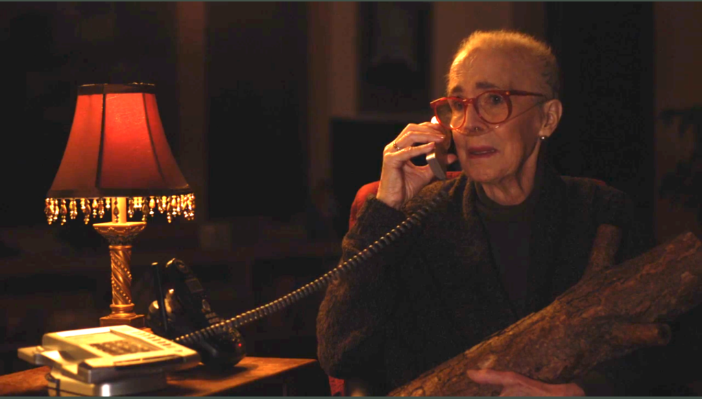 Otros 17 momentos nos gustaron muchísimo en The Return