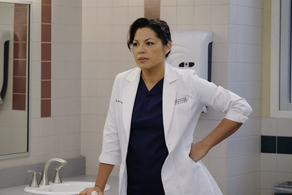 Con nuevo look, Sara Ramirez se muda de la medicina a la política