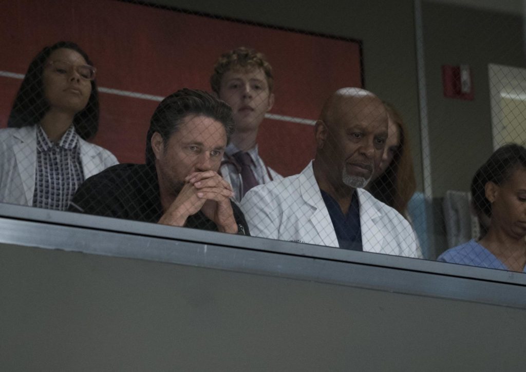 Los nuevos residentes del Grey Sloan