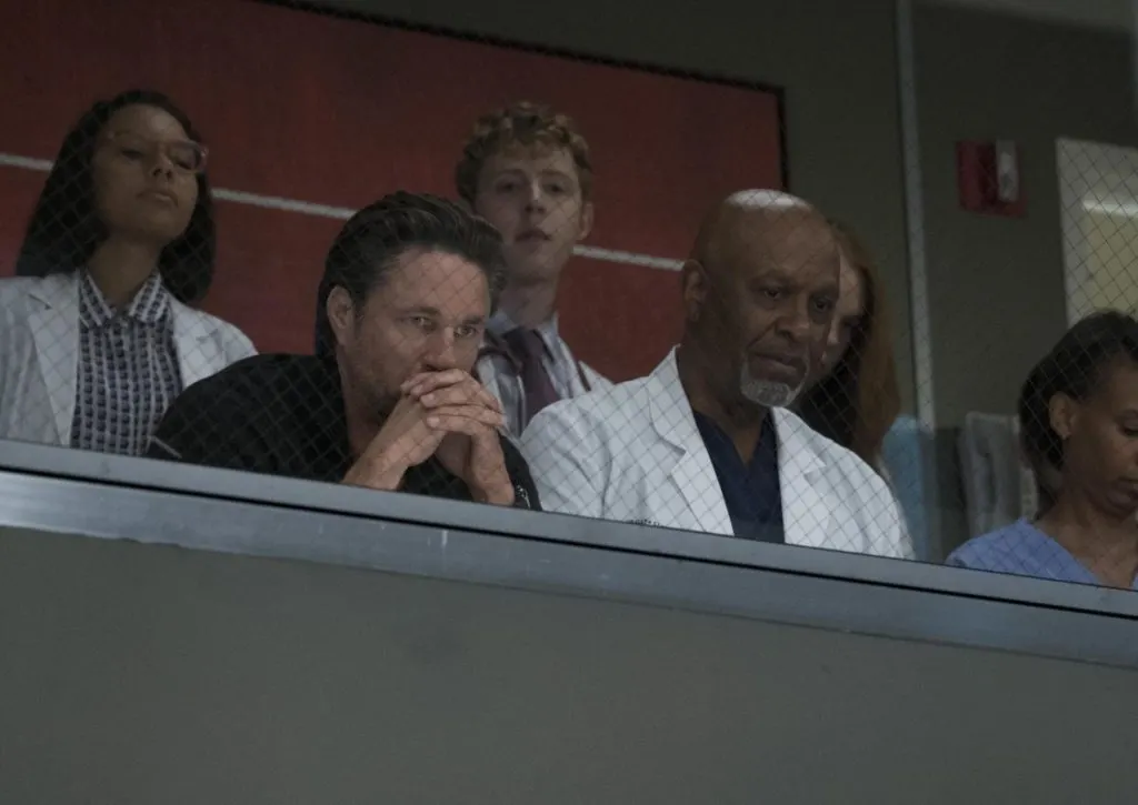 Los nuevos residentes del Grey Sloan