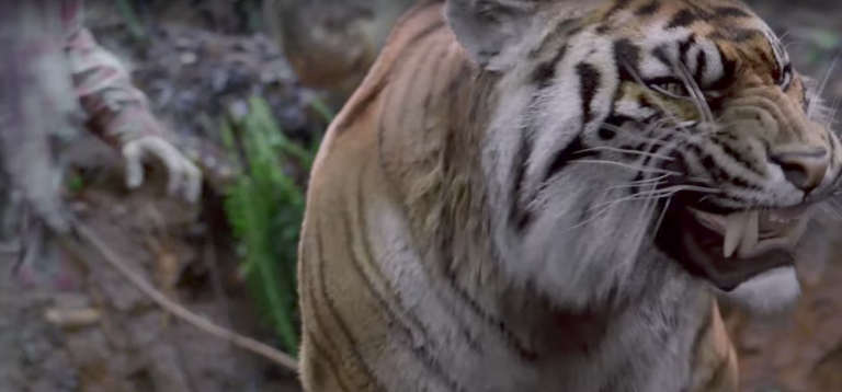 Shiva murió y las redes lloraron de esta manera (nosotros también) :(