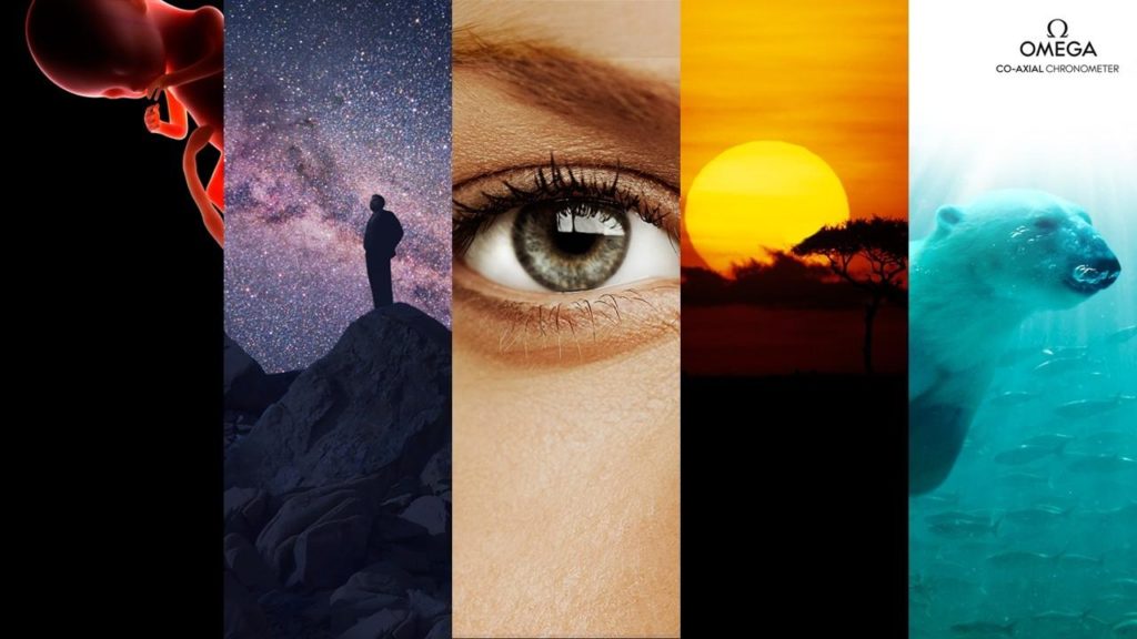 Fox y Nat Geo ordenan otra temporada de la exitosa miniserie documental