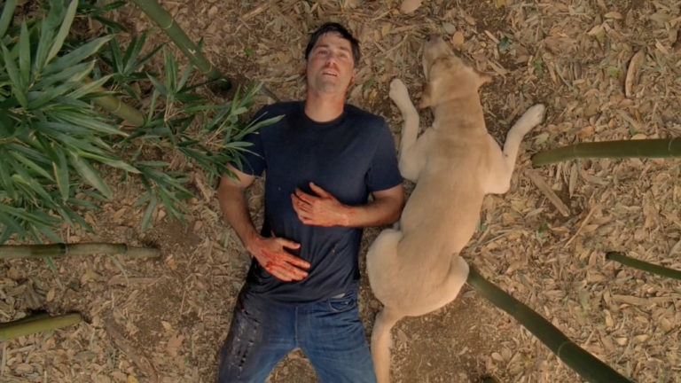 Los 10 mejores perros de la TV