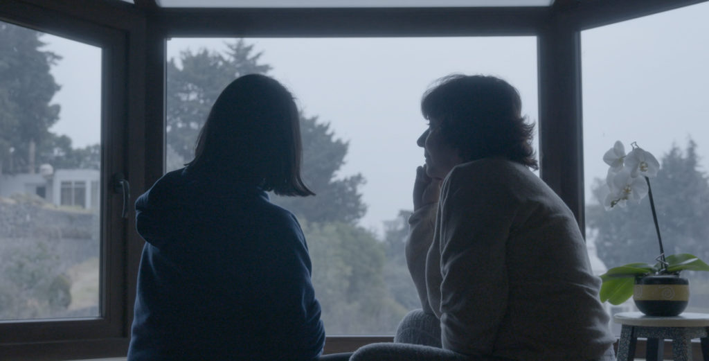 Cultura Colectiva lanza convocatoria para producir la serie de algún guionista afortunado