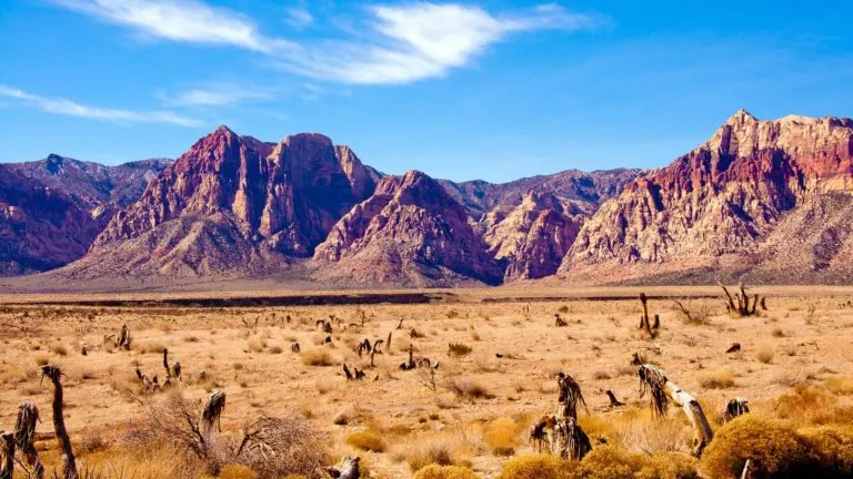 10 shows de género western imperdibles