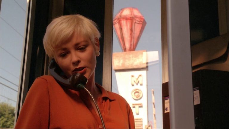 Muere Pamela Gidley a los 52 años