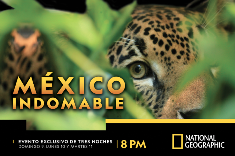 National Geographic estrena la docuserie México Indomable