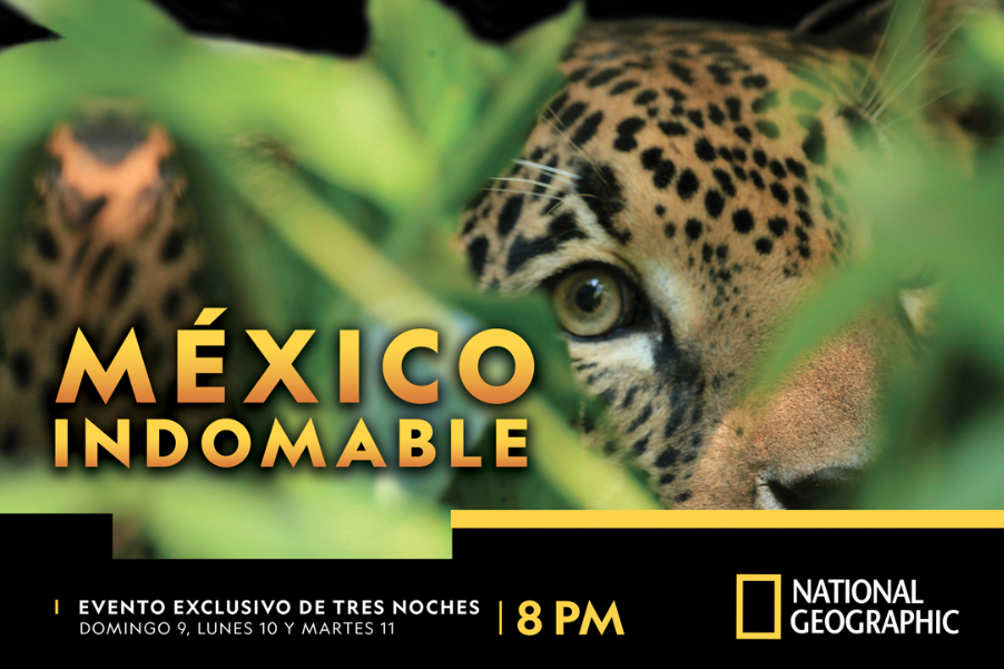National Geographic estrena la docuserie México Indomable