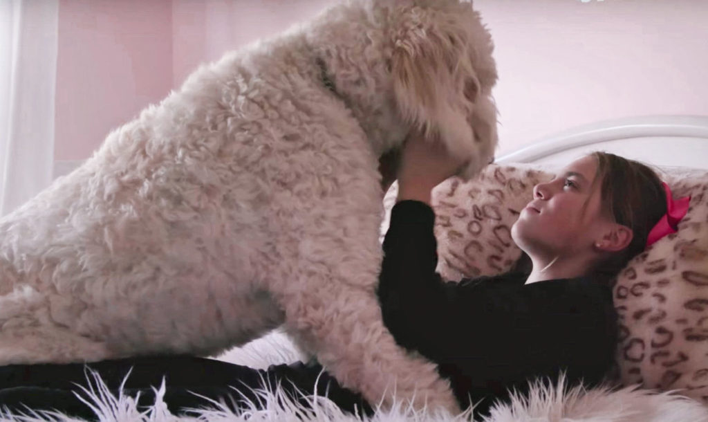 La docuserie de Netflix que debes ver si amas los perros