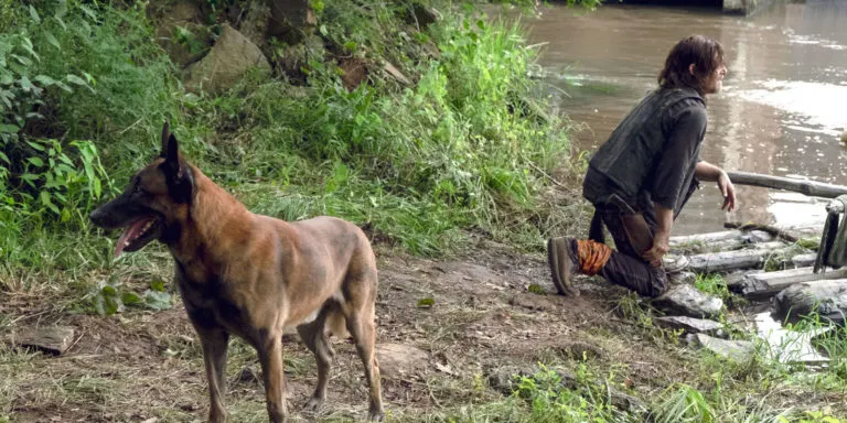 Los fanáticos auguran disturbios si el perro de Daryl muere