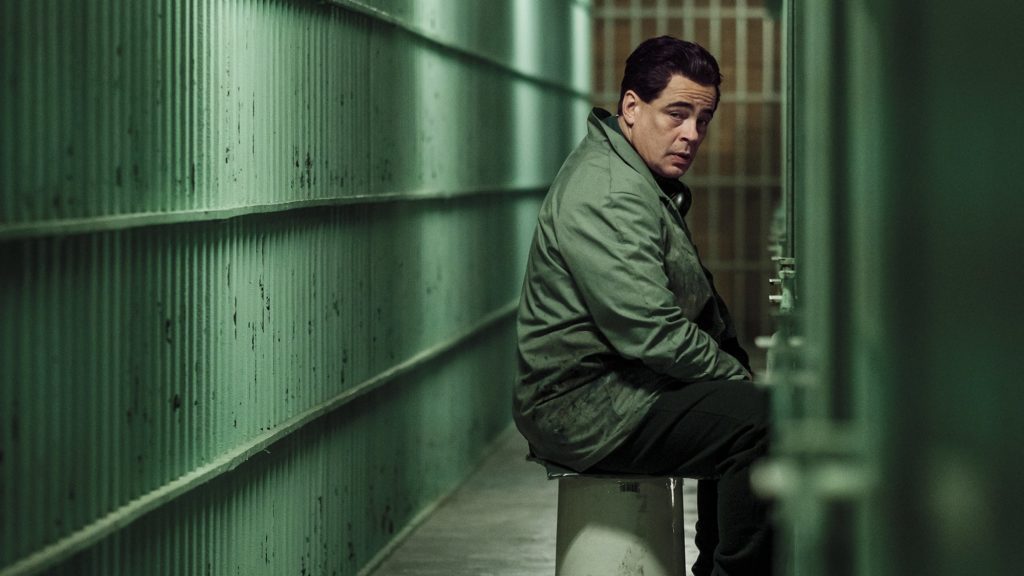 Ben Stiller en la dirección, Del Toro en la actuación: éxito total