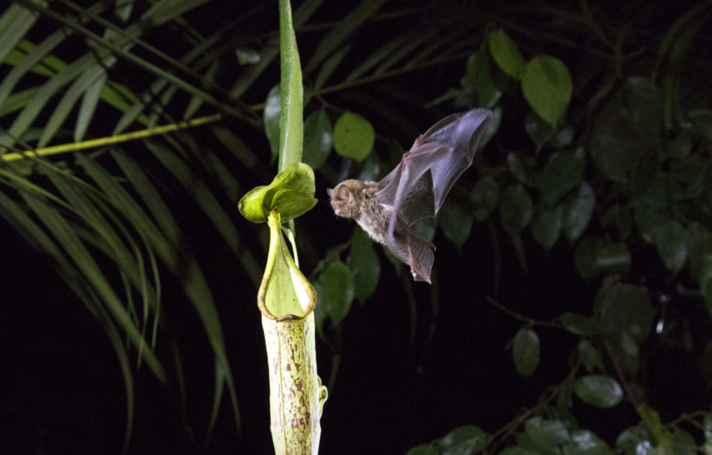 Netflix presenta el trailer de su nueva serie documental