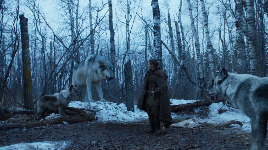 13 momentos en los que los Lobos Huargos fueron los protagonistas principales del show