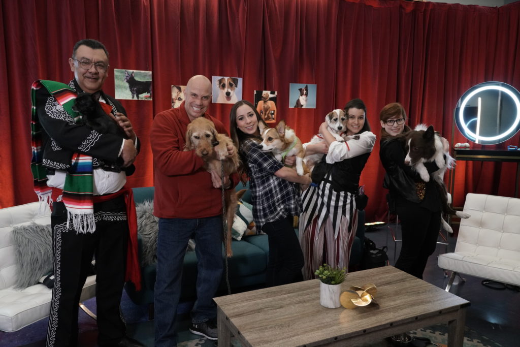 El perrito mexicano Toshiro gana la competencia perruna interactiva World’s Most Amazing Dog