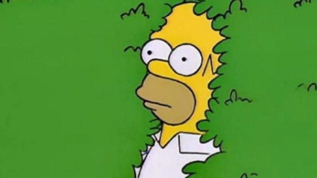 Los salvajadas más importantes que ha hecho Homero Simpson a lo largo de su vida