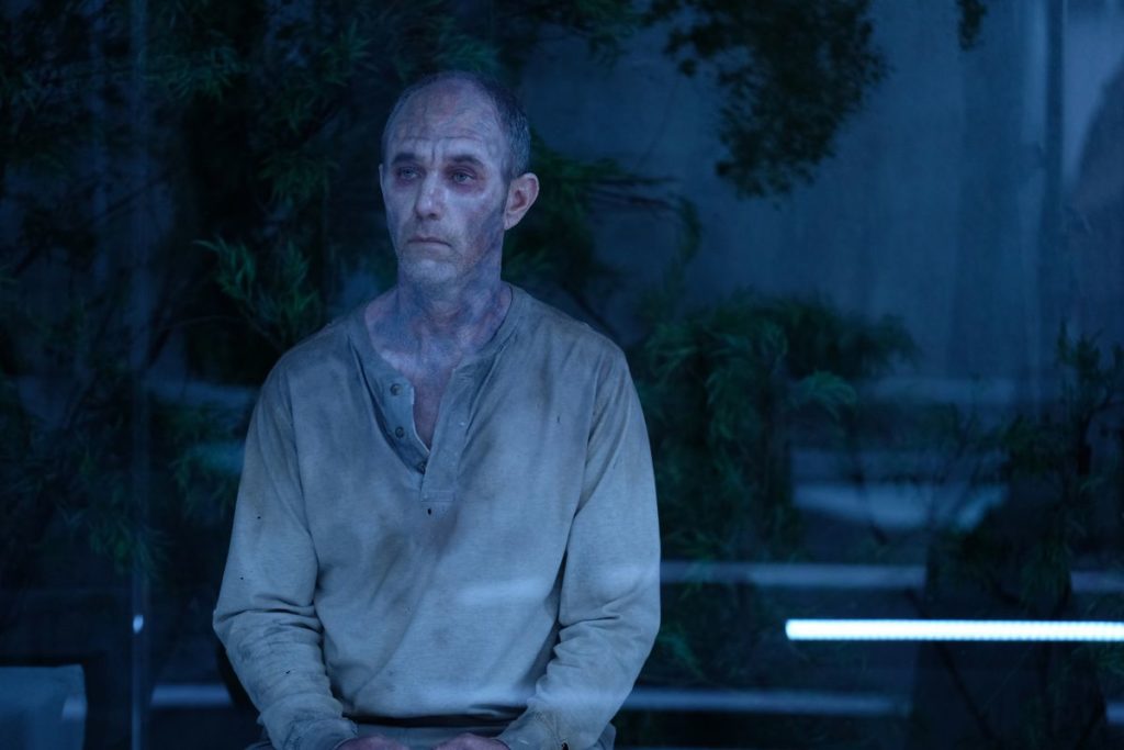 Cancelada luego de la primera temporada