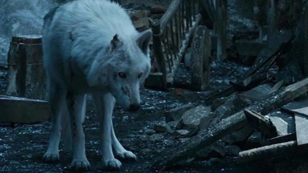 Jon abandona a Ghost sin acariciarlo y se convierte en el peor dueño del mundo