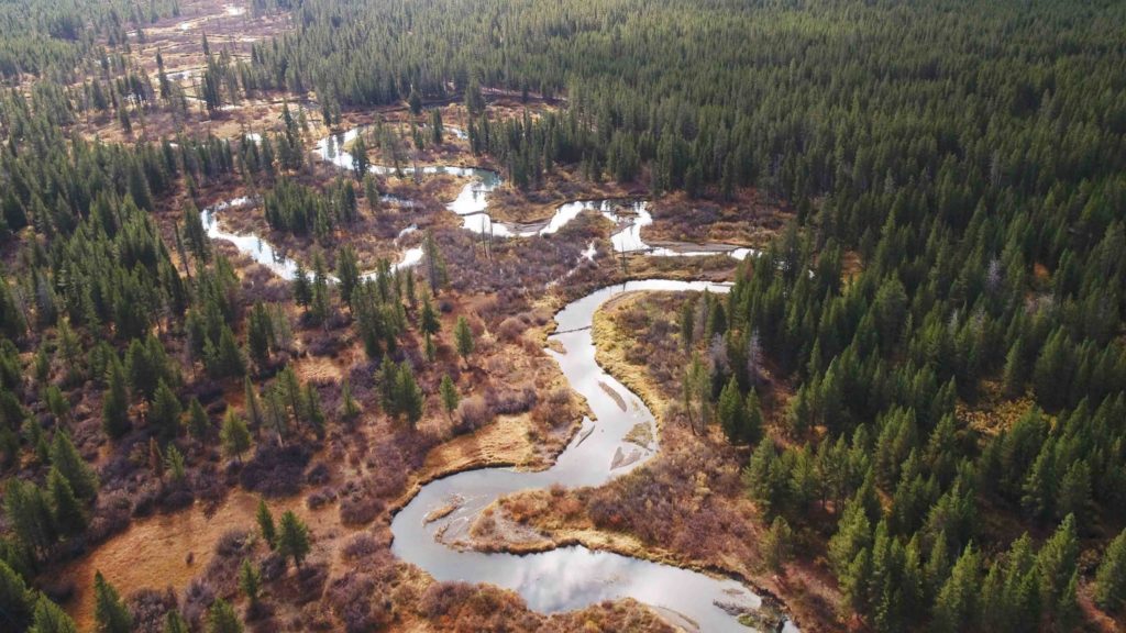 Lo más destacado de Discovery para junio